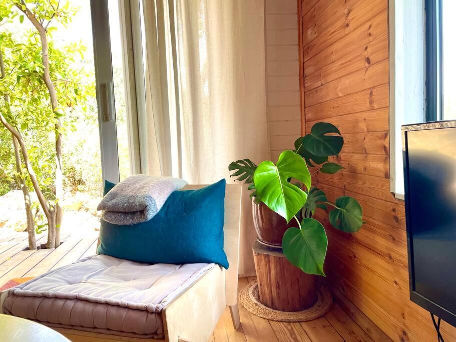 Solara Cabin Amirim Exterior foto